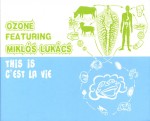 03_ozone